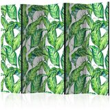  Paravan u 5 dijelova - Long Leaves II [Room Dividers] 225x172 Cijene