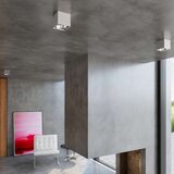  Stropna svetilka BLAKE siva, (21348128) | Shoptok.si