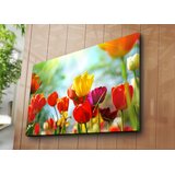 Opviq Slika na zidu na platnu 70x100cm | Eponuda.ba
