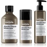 L´Oréal Paris Serie Expert Absolut Repair Molecular ekonomično pakiranje (za oštećenu kosu) | shoptok.hr