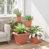  Saksije za biljke 6 pcs Crvena cigla 38 x 38 x 30 cm Plastika | shoptok.hr