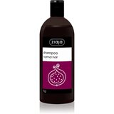 Ziaja Family Shampoo šampon za normalne lase 500 ml Cene