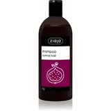 Ziaja Family Shampoo šampon za normalne lase 500 ml