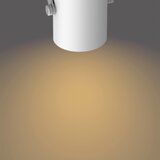 Philips 50662/31/P0 - LED spot svetiljka BYRE 2xLED/4,3W/230V 2200/2500/2700K | Eponuda.com