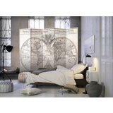  Paravan u 5 dijelova - Mappe-Monde Geo-Hydrographique [Room Dividers] 225x172 | shoptok.hr