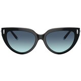 Tiffany Naočare za sunce TF 4195 80019S | ePonuda.com