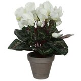  Umjetni cvijet Ciklama (Visina: 30 cm, Bijele boje, Plastika) | shoptok.hr