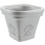  Saksija Di Martino Zeus | ePonuda.com