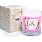 SANTINI Cosmetic Pink Yvésse dišeča sveča 200 g | Shoptok.si
