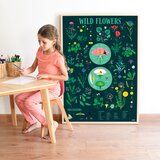 Poppik edukativni poster s nalepnicama otkrića: botanika 7+ | Eponuda.com