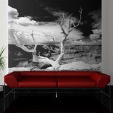  Tapeta - Grand Canyon tree 350x270 Cijene