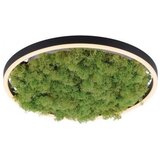 Just LIGHT. 15391-66 - LED prigušiva stropna svetiljka GREEN RITU LED/20W/230V Cene
