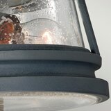 Elstead Lighting ZUNANJA STROPNA SVETILKA Chelsea 27.9/14.9 cm | Shoptok.si