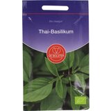 De Bolster Bazilika "Thai" Cene