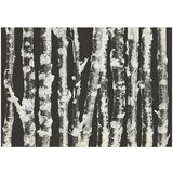  Tapeta - Stately Birches - Second Variant 400x280 | shoptok.hr