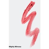 Clinique Chubby Stick™ Moisturizing Lip Colour Balm hidratantni ruž za usne nijansa Mighty Mimosa 3 g | shoptok.hr