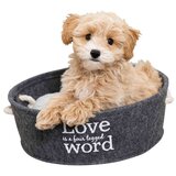 Olimp Sport Krevet Lian 37 cm | ePonuda.com