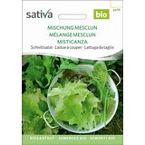  Solata za obiranje "Mesclun" | Shoptok.si