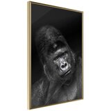  Poster - Intelligent Gaze 40x60 | shoptok.hr