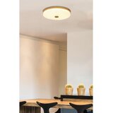 Lesnina XXXL STROPNA LED-SVETILKA Lemo 2150 lm 4000 K | Shoptok.si