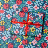 Rex London Darilni papir v kompletu 5 ks Ladybird – Cene