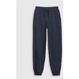 4f Boys' sweatpants Cene
