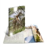 Herma Mapa s elastičnom gumicom A3 PP Glossy Žirafa Cijene