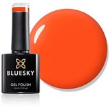  BLUESKY TRAJNI LAK ORANGE PEEL | Eponuda.ba
