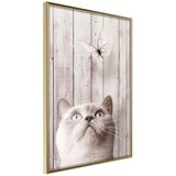  Poster - Piercing Look 20x30 Cijene