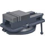 vidaXL Vrtljiv primež iz litega železa 160 mm | Shoptok.si