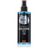 The Shave Factory Arctic voda za po britju 250 ml | Shoptok.si