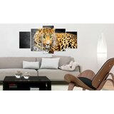  Slika - Green-eyed leopard 200x100 | shoptok.hr