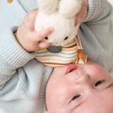 Little dutch nijn861 | shoptok.hr