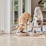 OYOY Living Design Keramička zdjela za hranu za ljubimce za pse ø 13 cm Sia – | shoptok.hr