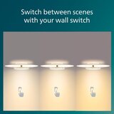  Philips- LED prigušiva plafonska svetiljka GARNET SCENE SWITCH LED/30W/230V 2700K | Eponuda.com