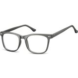 Berkeley Naočare CP112C | ePonuda.com