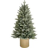  u metalnoj saksiji 60 cm 90 grana Cene