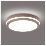  Brilagi - LED spoljna plafonska svetiljka BENE LED/24W/230V prečnik 26 cm braon IP54 Cene