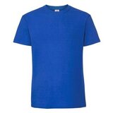 Fruit Of The Loom Blue Men's T-shirt Iconic 195 Ringspun Premium Cene