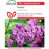 Saflax Španski bezeg - 1 pkt. | Shoptok.si