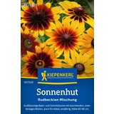KIEPENKERL Echinacea mešanica - 1 pkt. Cene