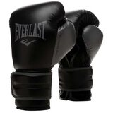 Everlast Boks rukavice Powerlock 2 Boxing Gloves | Eponuda.com