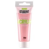 Professional standart acrylic akrilna boja pastel 22ml-odaberite boju pastel pink ( 644031 ) Cene