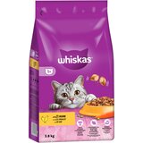 Whiskas 1+ piščanec - 3,8 kg | shoptok.hr