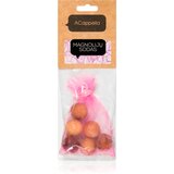 ACappella Magnolia Garden dišava za avto 6 kos Cene