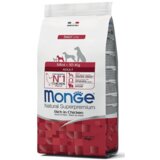 Monge dog Mini Adult 3 kg Cene