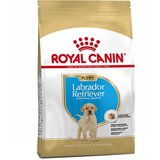 Royal Canin hrana za štenad labrador 12kg labrador junior RV0164 Cene