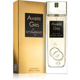Alyssa Ashley Ambre Gris parfumska voda za ženske 100 ml | Shoptok.si