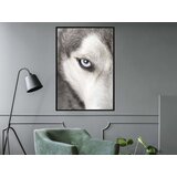  Poster - Azure Eye 30x45 | shoptok.hr