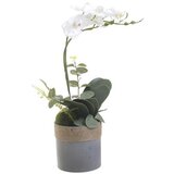  ORHIDEJA 45CM BIJELA | Eponuda.ba